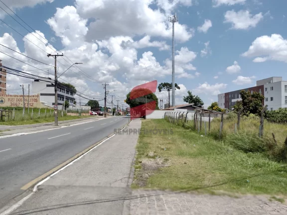 Imagem   