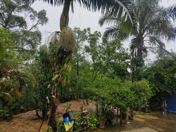 Imagem CHACARA A VENDA NO JARDIM LIMOEIRO SÃO PAULO