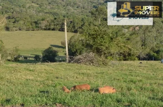 Imagem Sítio para Venda em Centro Morro Redondo-RS - 1645