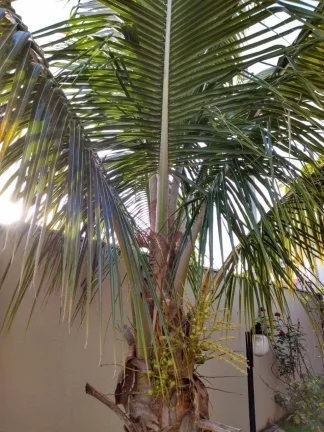 Imagem Excelente casa com 3 dormitórios, sendo 1 suíte, Agudos(SP)