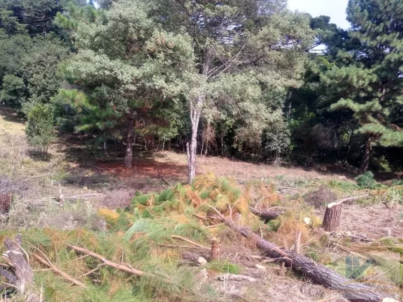 Imagem Terreno para Venda em São José dos Pinhais, Inhoaiva