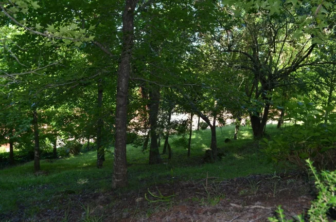 Imagem Terreno à venda, 0 m² por - R$ 12.500.000,00 - Linha Bonita - Gramado/RS