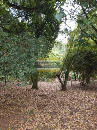 Imagem CHÁCARA SANTANA DE PARNAÍBA