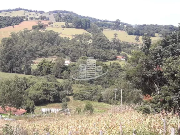Imagem Terreno Padrão