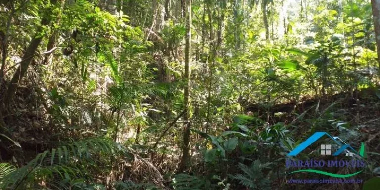 Imagem Espetacular Área Rural em Paraisópolis - Minas | 155 hectares