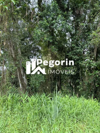 Imagem Terreno em Balneário Brandalize, Itapoá/SC