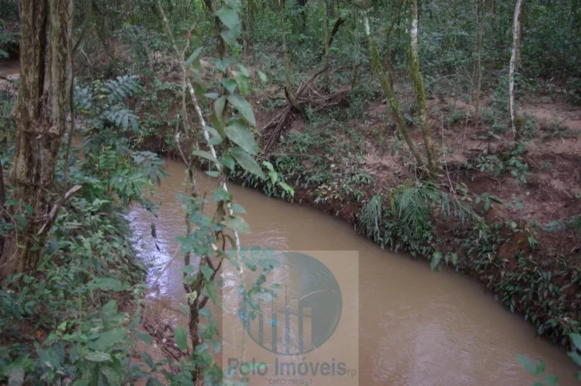 Imagem Sitio 8,23 alqueires ou 19,93 ha para compensação de Reserva, R$ 60 mil o alqueire - Jacuí - Minas Gerais.