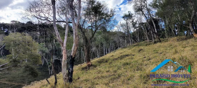 Imagem Oportunida Única! terreno Rural com nascentes no Caminho da Fé!