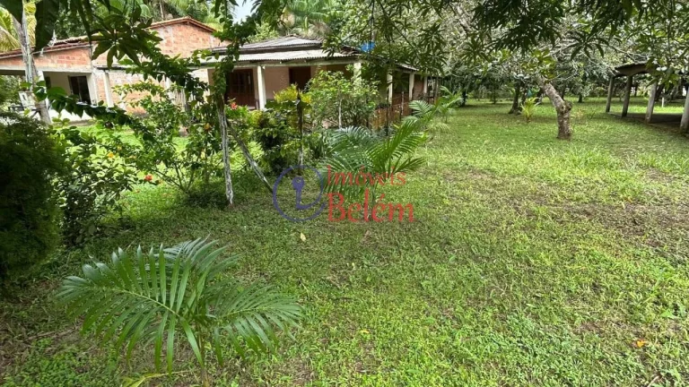 Imagem Imóveis Belém vende casa em Vigia Imagem Imóveis Belém vende casa em Vigia