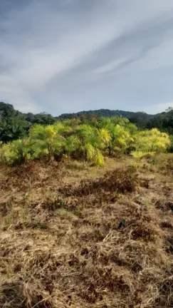 Imagem Sítio para Venda em Sete Barras, Rural