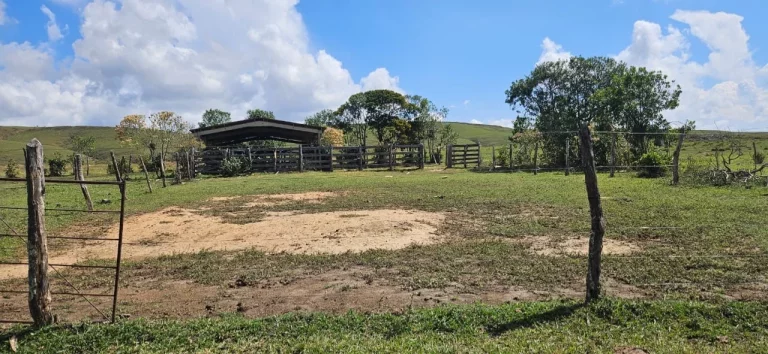 Imagem FAZENDA À VENDA EM DELFINÓPOLIS - MG COM 430 ALQUEIRES