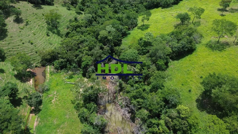 Imagem Fazenda Top para Criação de Gado 100 Kms de Goiânia