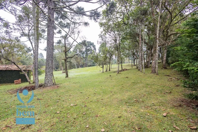 Imagem Belíssima Chácara com 3 dormitórios à venda, 6000 m² por R$ 1.400.000 - Salgadinho - Campo Largo/PR
