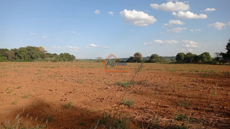 Imagem Sítio à venda no bairro Martim Francisco - Mogi Mirim/SP