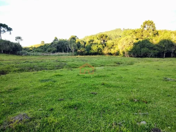 Imagem CHACARA RURAL em CAMPO BELO DO SUL - SC, Interior