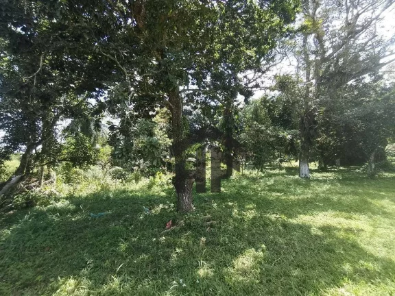 Imagem Chácara com 4 Quartos à Venda, 98.000 m² em Guadalajara - Paudalho
