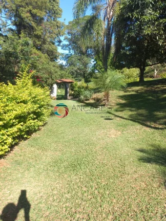 Imagem CHÁCARA COM CASA SEDE - PISCINA - EXCELENTE OPORTUNIDADE