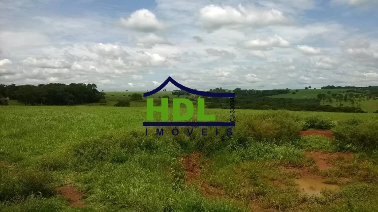 Imagem FAZENDA 38,5 ALQS EM PIRACANJUBA - GO