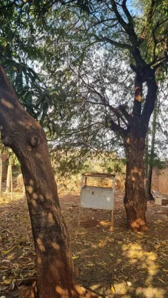 Imagem Terreno à venda, 200 m² por R$ 100.000,00 - Setor São Sebastião - Itumbiara/GO