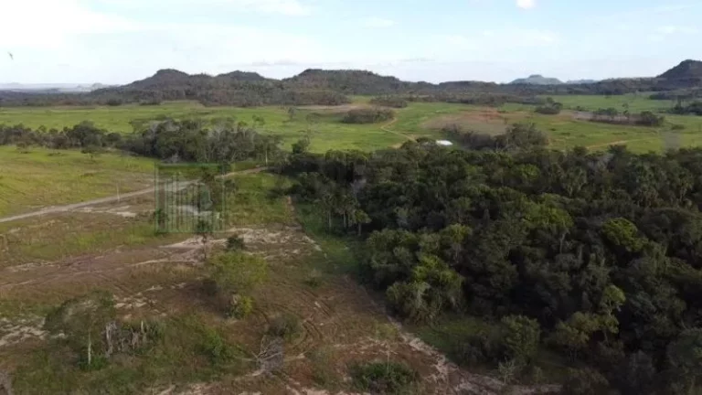 Imagem Fazenda à venda em Campos Lindos-TO: 6.706 hectares de pura oportunidade de investimento!