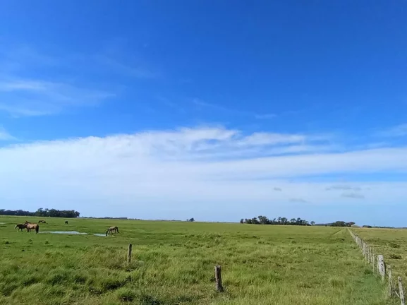 Imagem Fazenda à Venda – 173 Hectares – Arambaré/RS