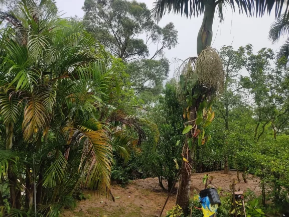 Imagem CHACARA A VENDA NO JARDIM LIMOEIRO SÃO PAULO