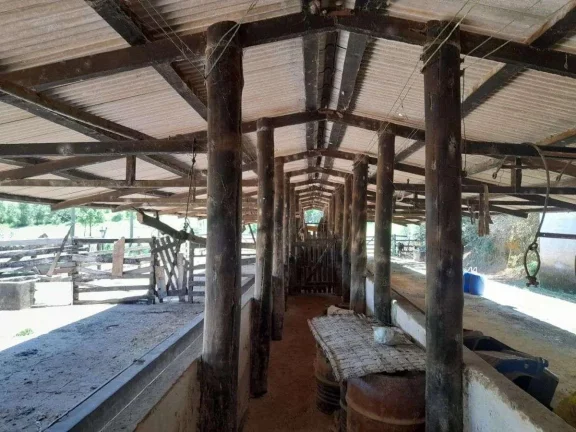 Imagem Fazenda à venda em Barbacena, Correia de Almeida, com 4 quartos, 53ha