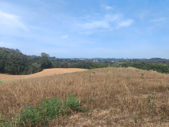 Imagem Chácara 2 Alqueires Bolinete