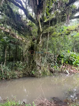 Imagem Hectares no Sul, Area de terra no RS, Hectare em maquine, RS