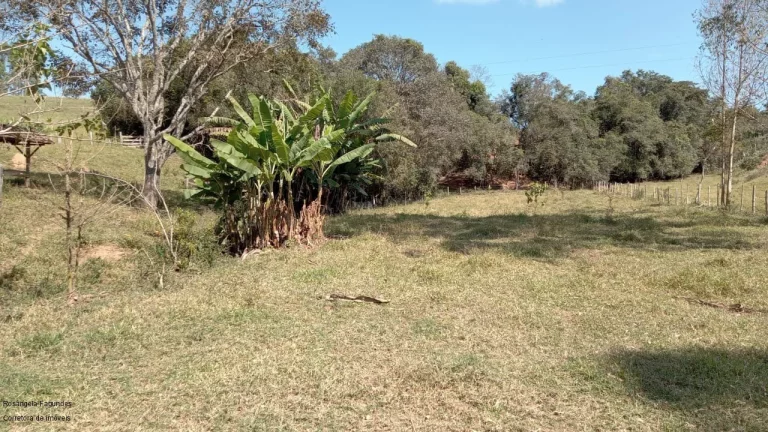 Imagem SITIO RURAL em CALDAS - MG, COROADO