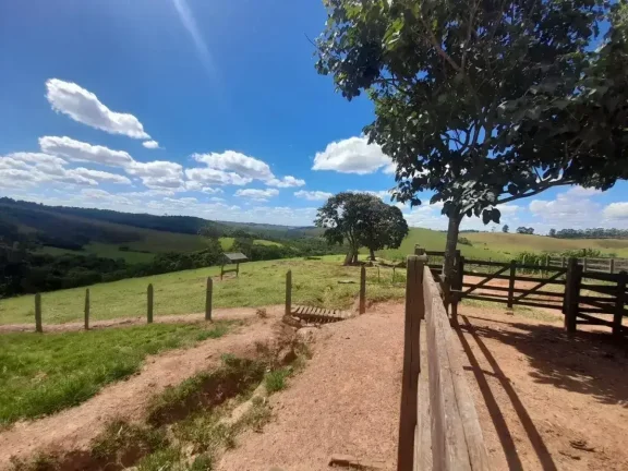 Imagem Fazenda à venda em Ibertioga, ZONA RURAL, 148ha