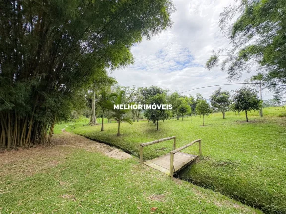 Imagem Sítio à venda em Camboriú-SC com 15.595m². Um verdadeiro paraíso com 6 lagoas, pomar e móveis rústicos.