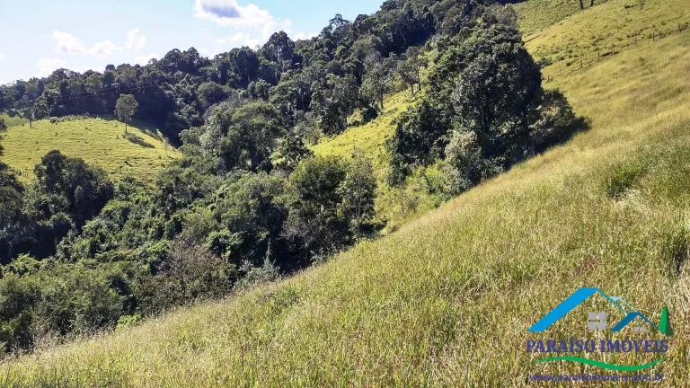 Imagem Paraíso Particular: 14,32 ha, com Vista Panorâmica e Natureza Preservada!