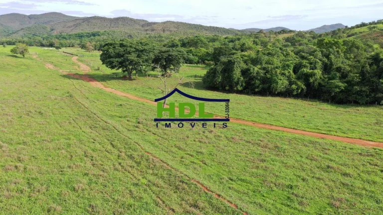 Imagem Fazenda Top de 165 Alqs em Padre Bernardo GO