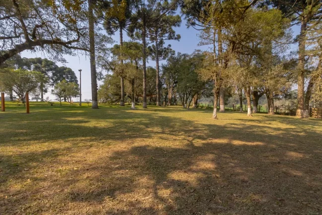 Imagem Chácara lazer ou eventos Campo Largo