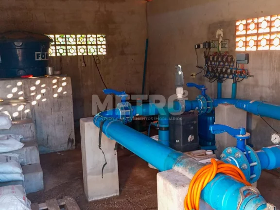 Imagem Fazenda à venda, 14,5 hc produzindo caju, goiaba e sapota.