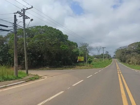 Imagem Área à venda, 1300 m² por R$ 375.000,00 - Pindorama - Mogi das Cruzes/SP