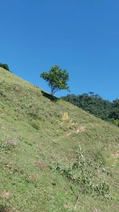 Imagem Vendo sítio/ Chácara, 12 Hectares em Alfredo Wagner SC.