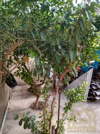 Imagem Sobrado com 4 Quartos à Venda, 680 m² em Vila Palmares - Santo André