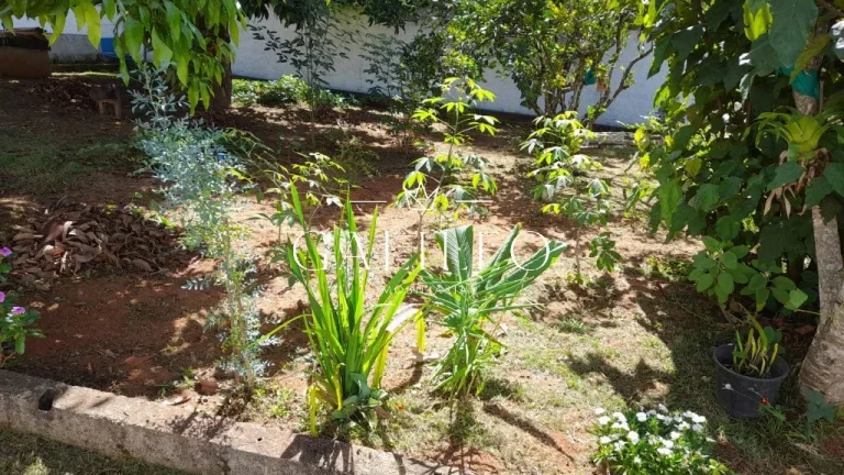 Imagem CHACARA COM PISCINA Á VENDA EM NOVA TRIESTRE JARINU -SP