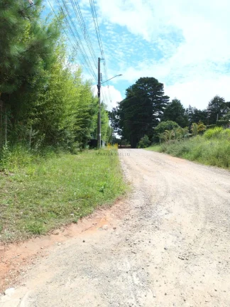 Imagem Chácara à venda no bairro Águas Claras em Piraquara!!!
