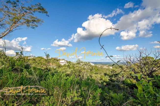 Imagem Lote já com projeto, sem vizinho de fundo