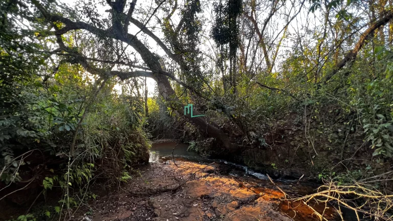 Imagem PROPRIEDADE RURAL DE ALTO PADRÃO COM EXCELENTE LOCALIZAÇÃO