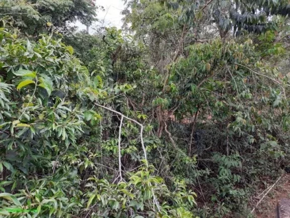 Imagem Sítio localizado na entrada do condomínio Village Juatuba, com casa , pomar, galpão.
Vista maravi...