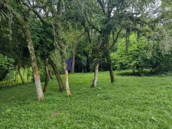 Imagem ÁREA RURAL COM 6.957,50M² EM BALSA NOVA