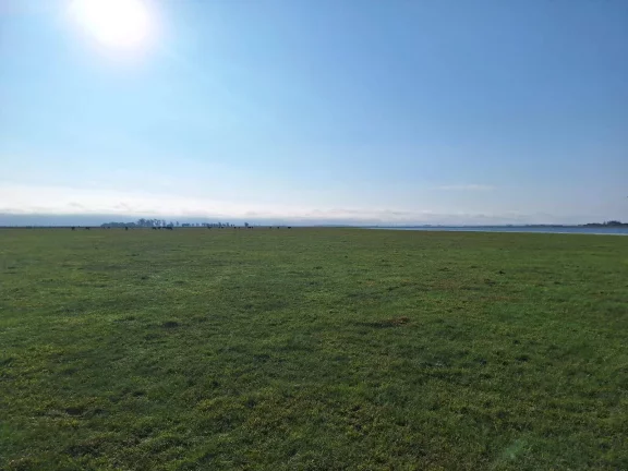 Imagem Excelente Área de 130 Hectares para Cultivo de Arroz – Viamão/RS