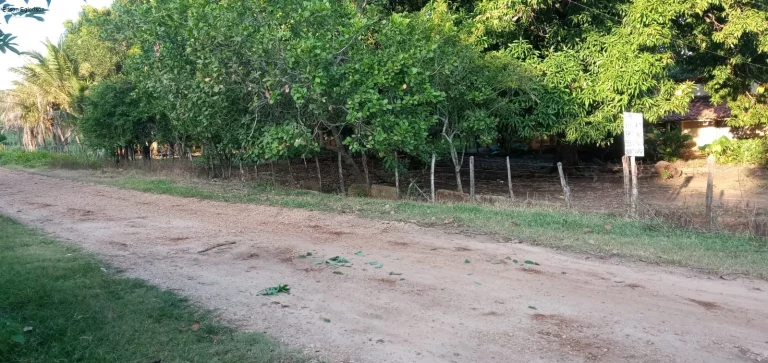 Imagem SITIO RURAL em NAZÁRIA - PI, POVOADO LAGOA DA CRUZ