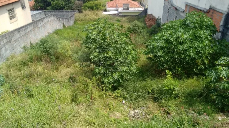 Terreno à Venda, 600 m² em Vila Pereira Barreto - São Paulo