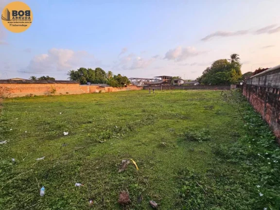 Imagem Terreno Padrão