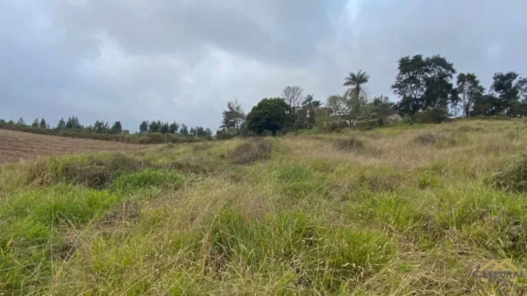 Imagem Ótima Área para Investimento em Jarinu